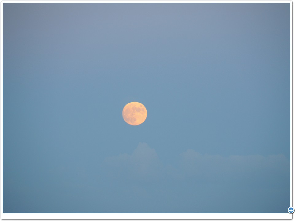 Collision Clear Night